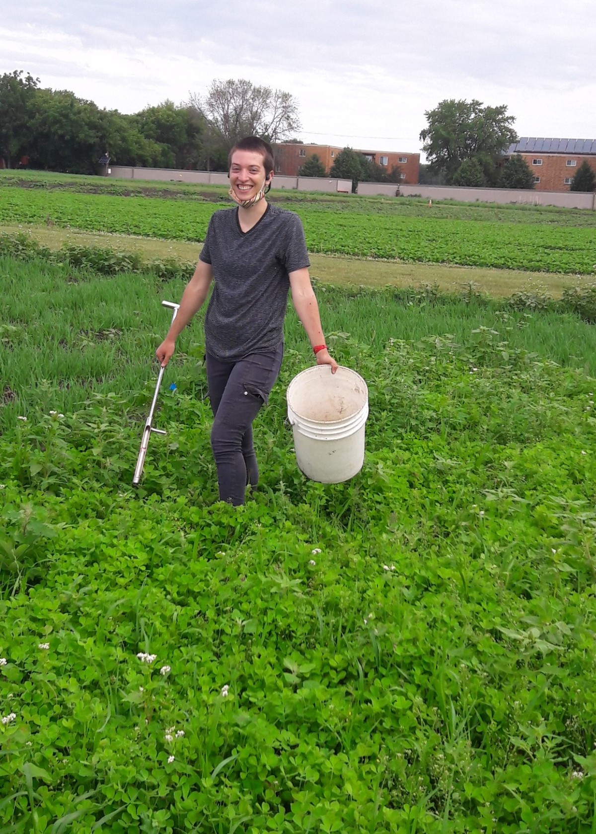 Madi standing in a plot of clover holding a soil probe and a bucket