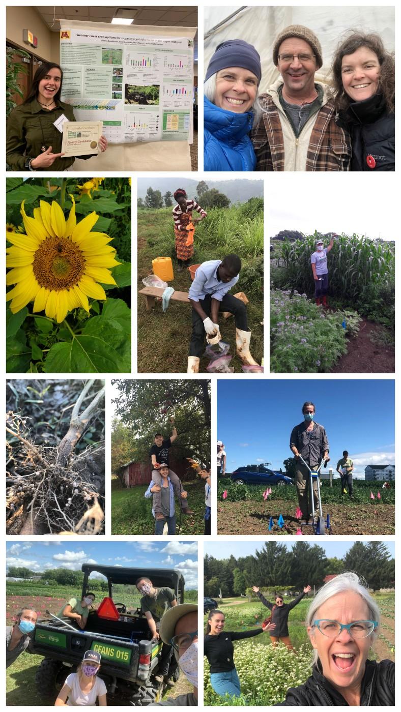 A collage of various photos of Grossman lab members and some plants. There is a photo of Naomy holding up an award in front of her conference poster, a photo of a sunflower, a photo of Julie standing with a plot of sorghum sudangrass that is taller than her, and more fun field photos